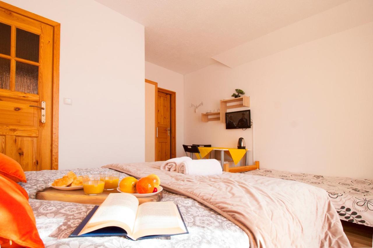 Bieszczadzki Brat Apartamenty Polańczyk エクステリア 写真