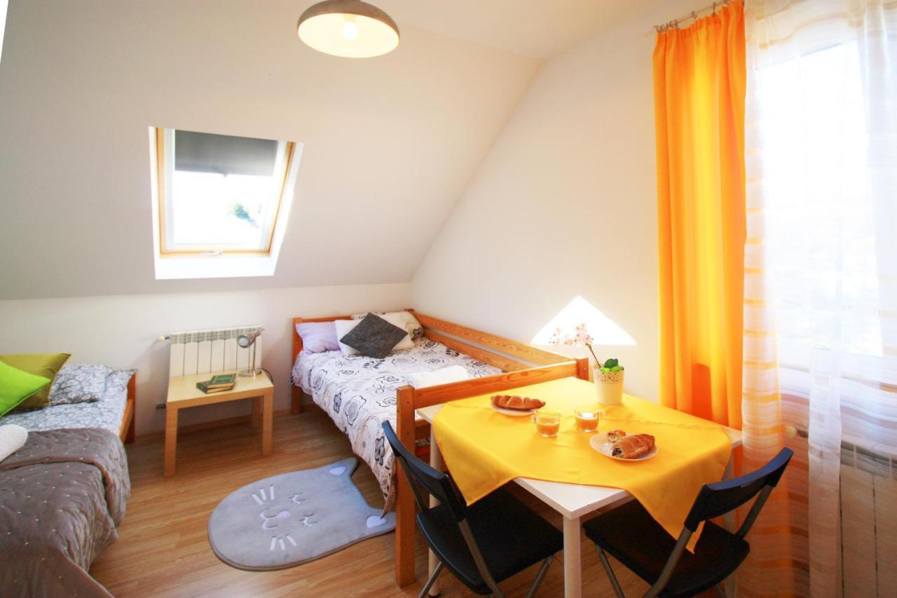 Bieszczadzki Brat Apartamenty Polańczyk エクステリア 写真