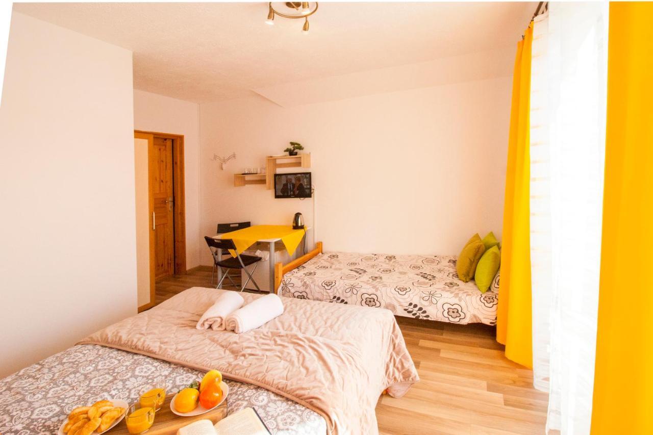 Bieszczadzki Brat Apartamenty Polańczyk エクステリア 写真